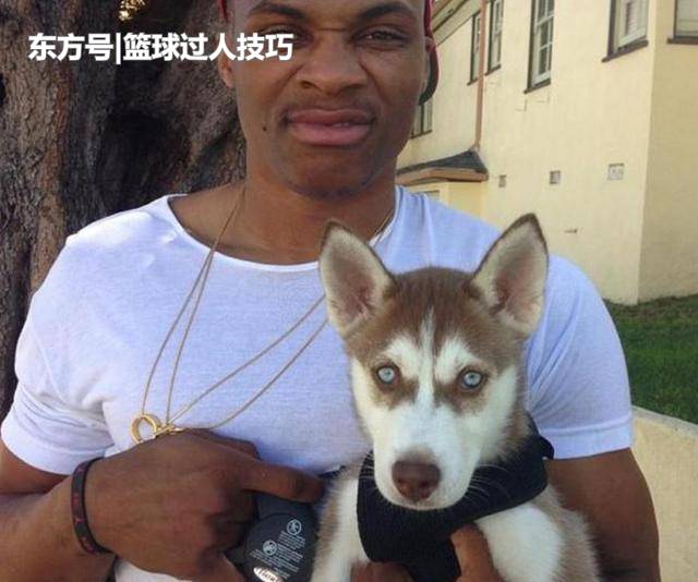 nba的"撸狗达人":汤神为爱犬抛弃库里,乔治的狗叫"科比"