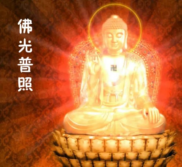 说字话 | 姓药丸是种怎样的体验?带你看日本的