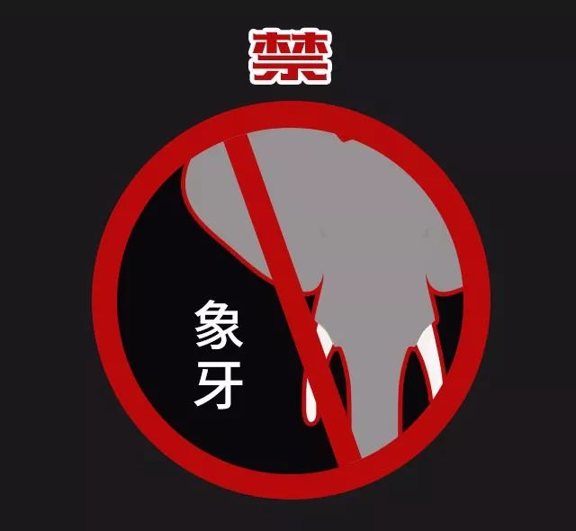 象牙禁贸令 | 这次,我想救一头大象