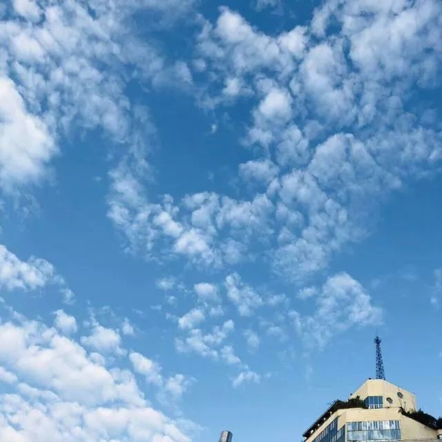 【新闻晚餐】广西发布一批领导干部任前公示