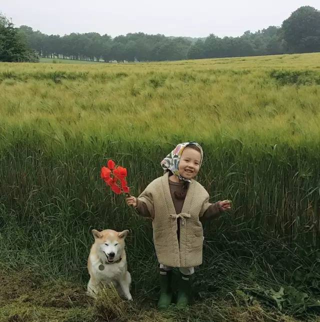 3岁混血小萝莉火了她和胖柴犬的甜蜜日常萌翻看多少遍都不腻