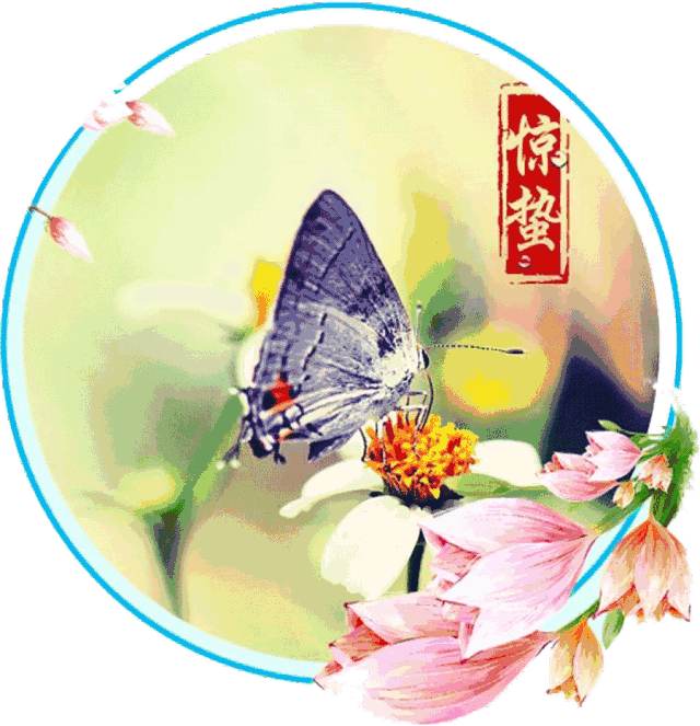30今日惊蛰不管你身在何方收到这份祝福你就是最幸运的