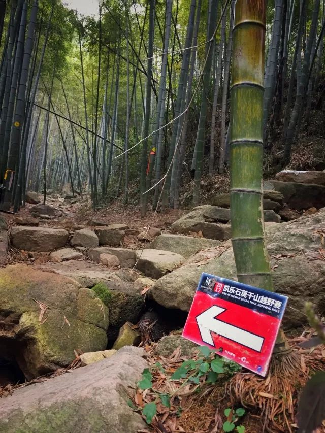 终于要去越野了!(2018莫干山迎新越野跑活动 