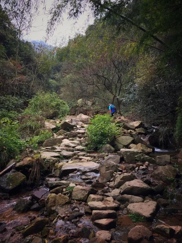 终于要去越野了!(2018莫干山迎新越野跑活动 
