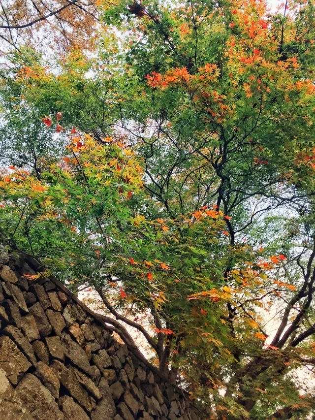 终于要去越野了!(2018莫干山迎新越野跑活动 