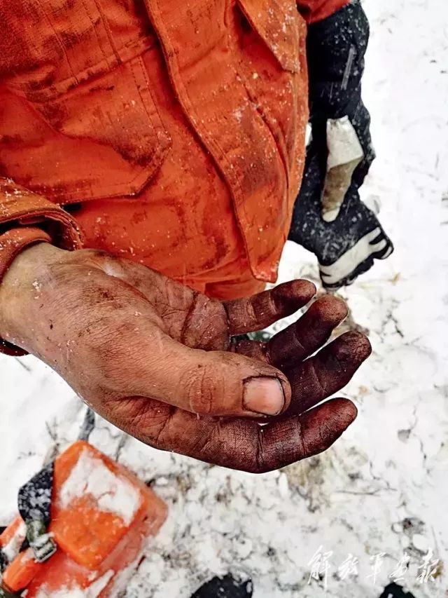 这些瞬间有没有击中你的泪点?