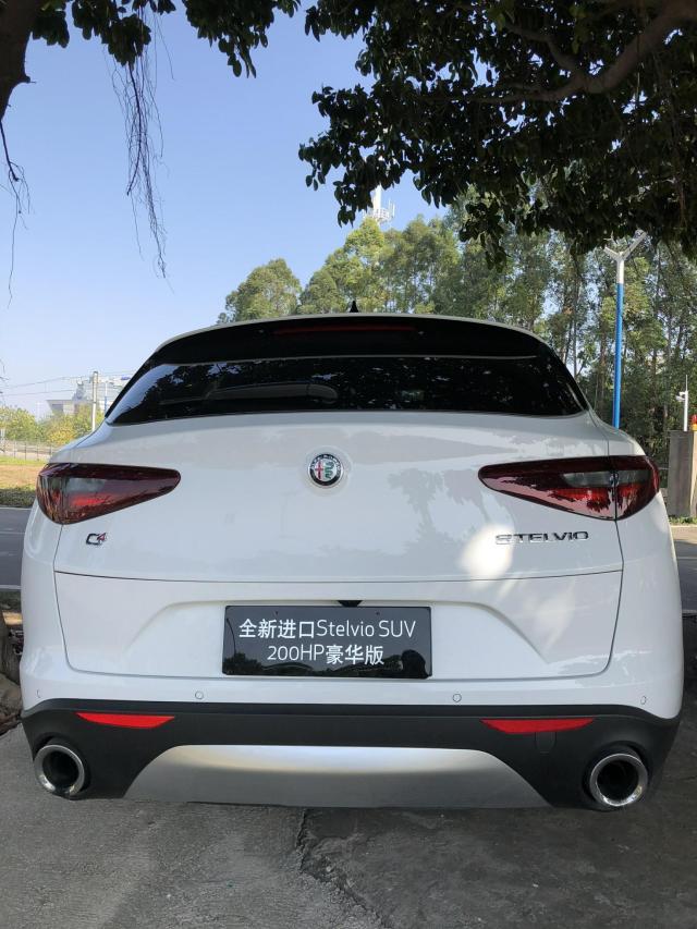 阿尔法罗密欧stelvio被埋没的运动型suv