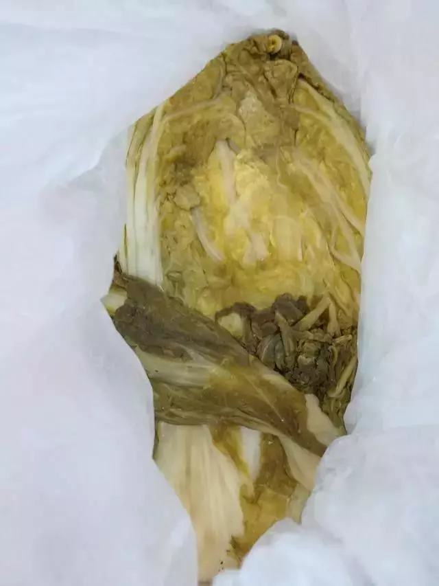 我妈可能觉着我在外面会饿死打开返程后备箱暖心又扎心