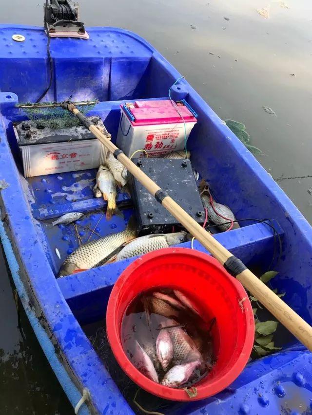 上海崇明连破两起禁渔期内电捕鱼案非法捕捞涉嫌犯罪处罚之重可能远超