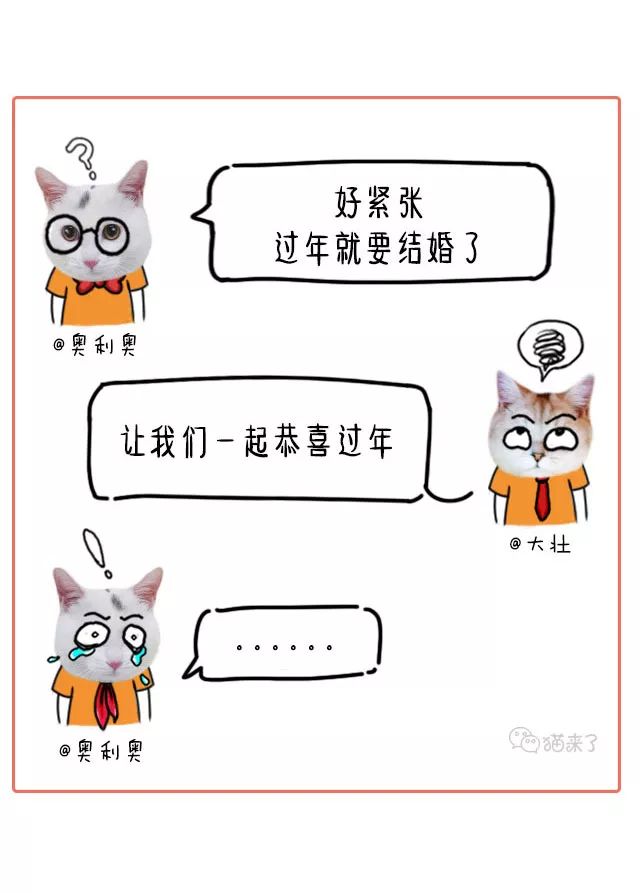 教你查看谁把你的微信置顶了