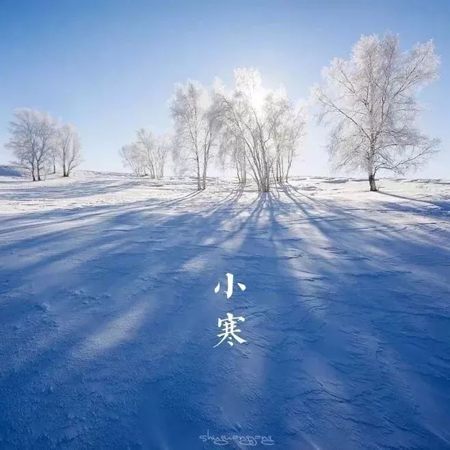 节气 | 小寒连大吕 欢鹊垒新巢