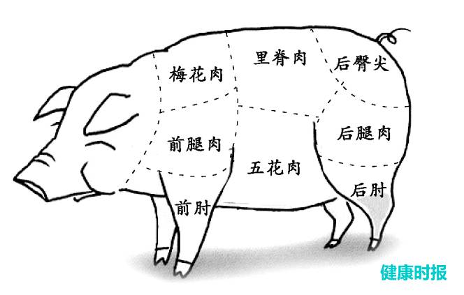 大厨必备 五花肉 里脊肉 不同部位的猪肉适合做什么菜 一张表告诉你 猪肉前夹肉和后座肉区别 双偶网 大厨必备 五花肉 里脊肉 不同部位的猪肉适合做什么菜 一张表告诉你 猪肉前夹肉和后座肉区别 双偶网