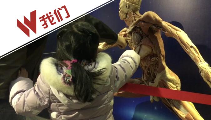 河南科技馆展出塑化真人标本 吓得小朋友直往大人身后躲|河南|真人