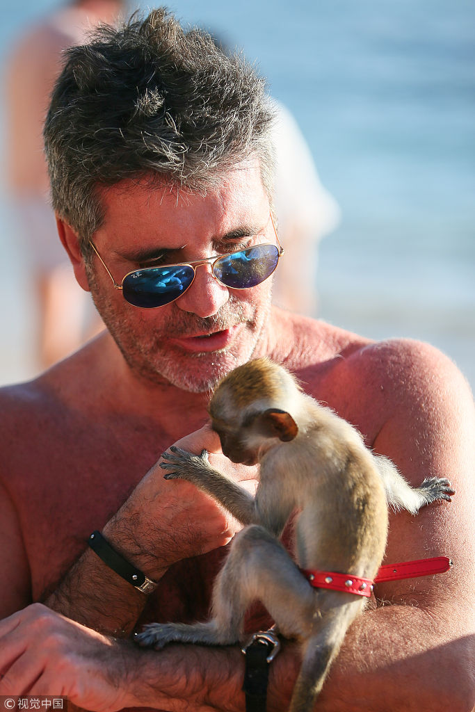 "毒舌"西蒙·考威尔"撸猴"超有爱 女友比基尼裹薄纱大秀美腿|西蒙·考