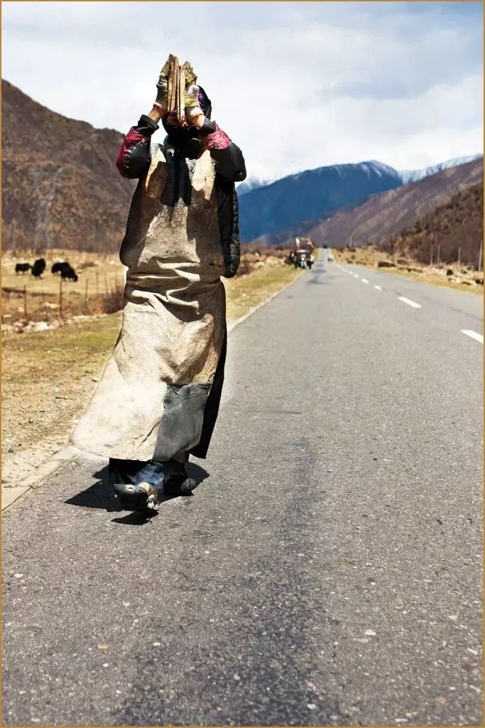 实拍丨56岁藏族阿妈磕长头千里朝圣. .