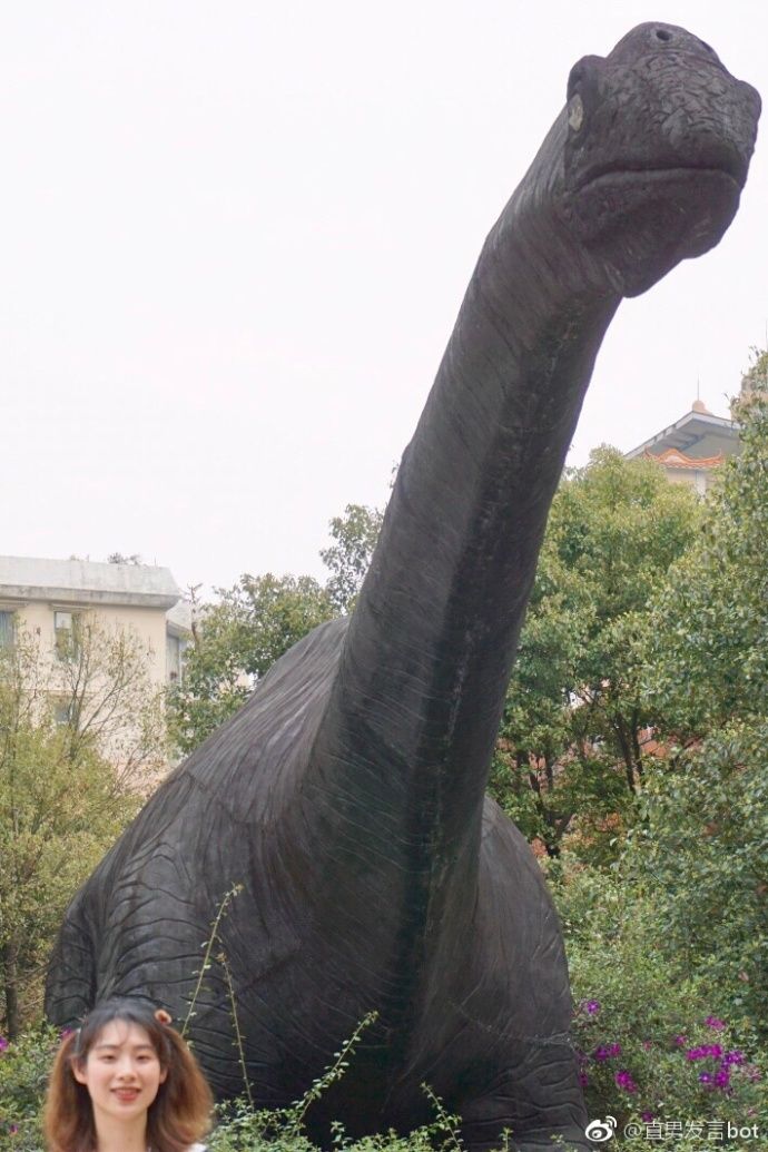 我兴奋地让他帮我合张影留念,遇到一个脖子长长的恐龙雕像,跟男朋友去