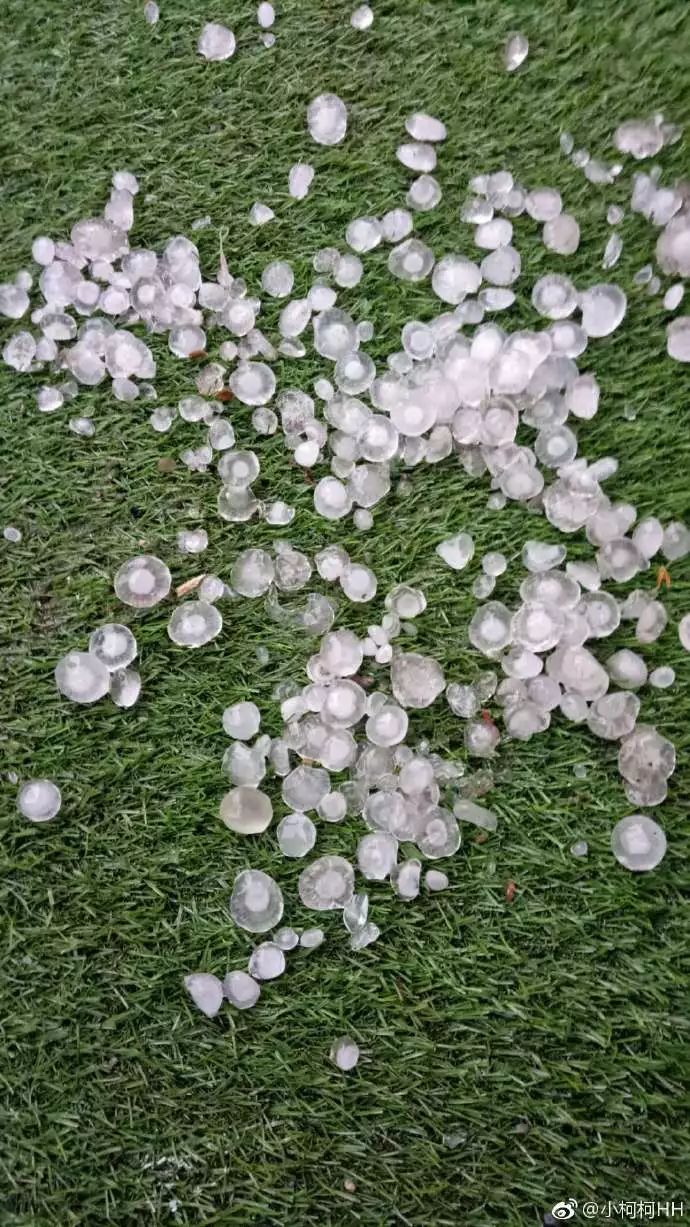 南方太冷了!人大代表呼吁:沿长江重新划分南北