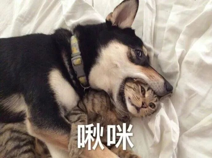 2018最宠溺亲亲新鲜出炉突然羡慕王大陆女票怎么破