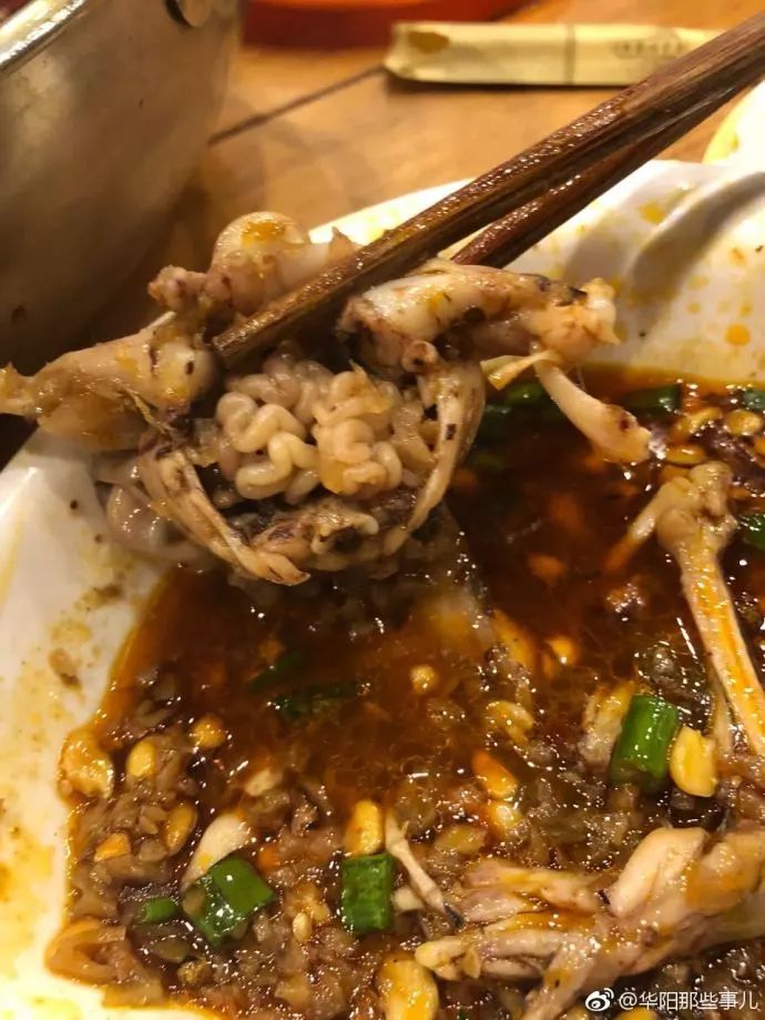 吓懵牛蛙肚中吃出一坨方便面一大波吃货正赶来