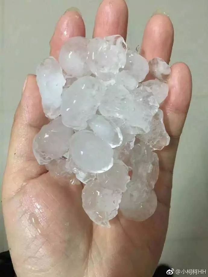 南方太冷了!人大代表呼吁:沿长江重新划分南北