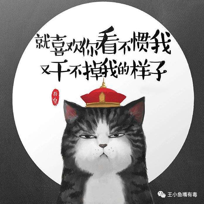 不会让一个热爱音乐的女孩失望吧?