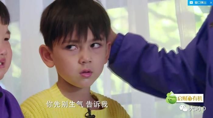 每个说《萌宠小大人》的泰勒攻击性太强的大人