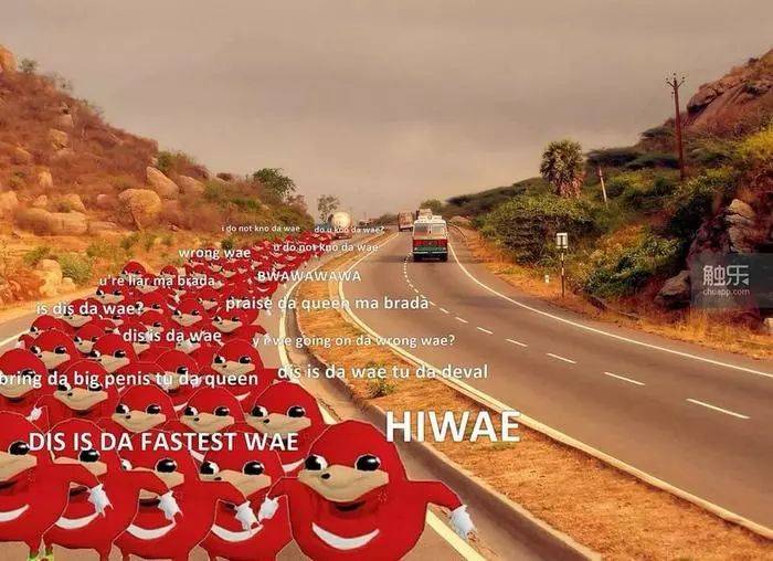 这个骨骼清奇,面带祥瑞的土豆人叫"乌干达纳克鲁斯"(uganda knuckles)