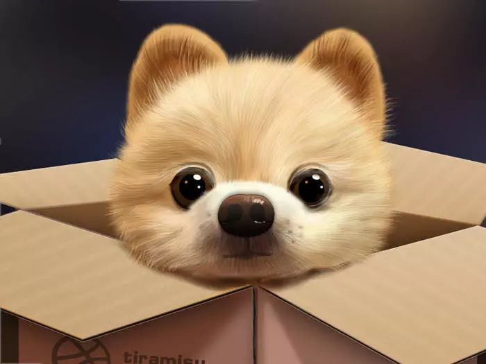 所以在英语中,以dog代人的表达非常多,例如,lucky dog(幸运儿),sea