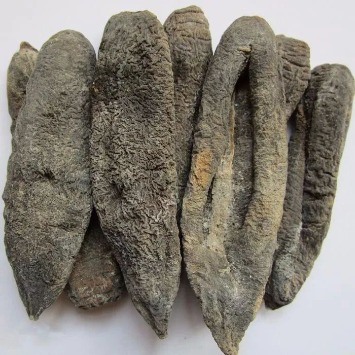 你上过当吗?“海茄子”和海参傻傻分不清,小编教你如何分辨!