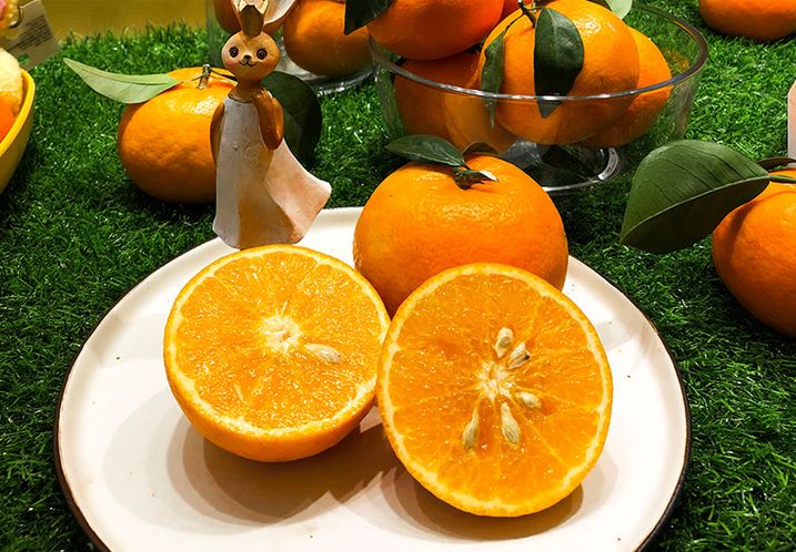 厉害了我的武鸣原来吃沃柑有这么多好处我竟然都不知道