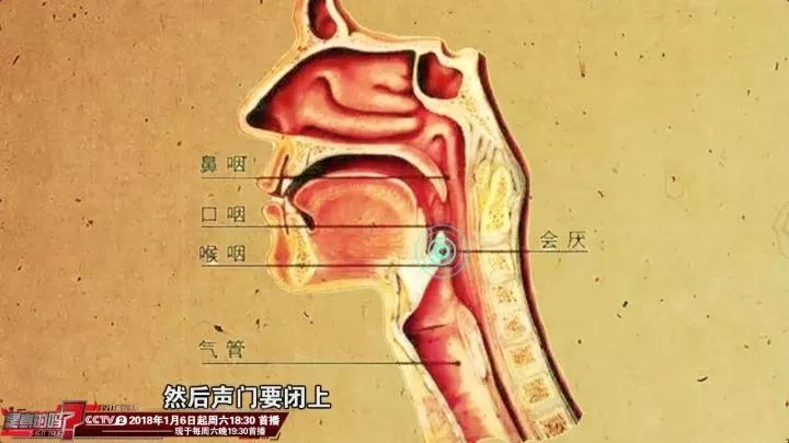 在咽部是一个通道,在吞咽的时候我们会厌会要关一下,然后声门要闭上