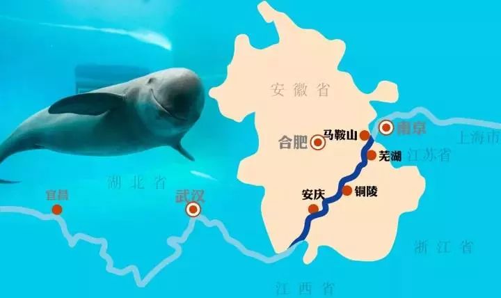 12月12日,两艘江豚科考船从马鞍山江心洲港口出发,往长江上游行驶,这