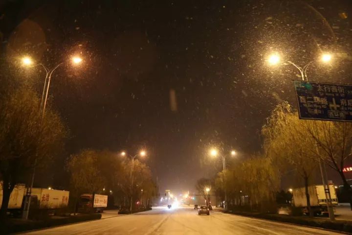 气象丨我省发布寒潮蓝色预警,大风带来8℃降温.