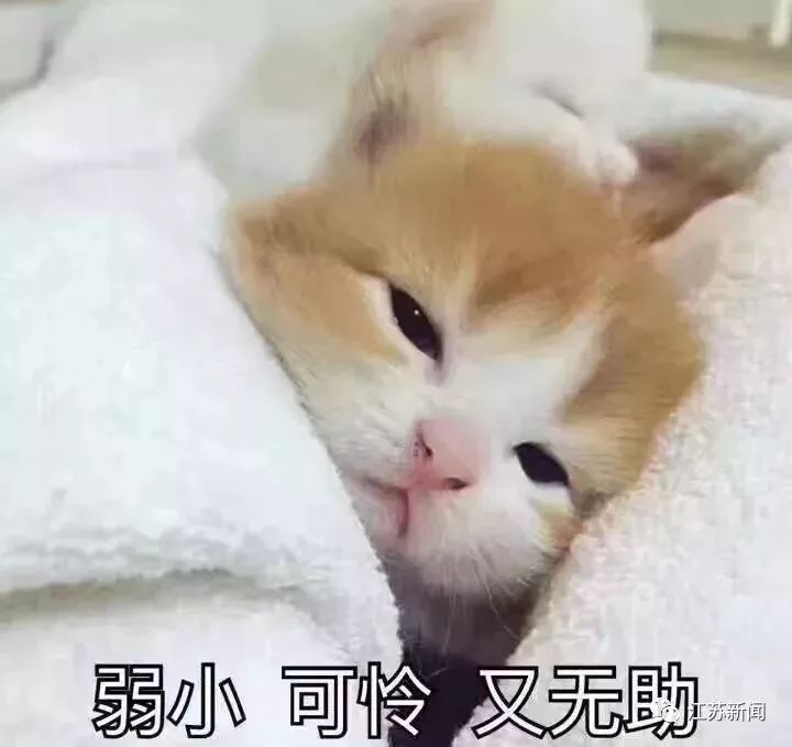 最低-10℃!南京人挺住,本周将在冷藏与冷冻之间切换