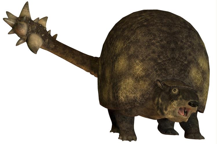 那些曾经将尾巴用作武器的动物都去哪儿了