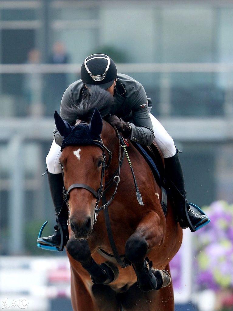 摄影作品马术:像骑士一样战斗