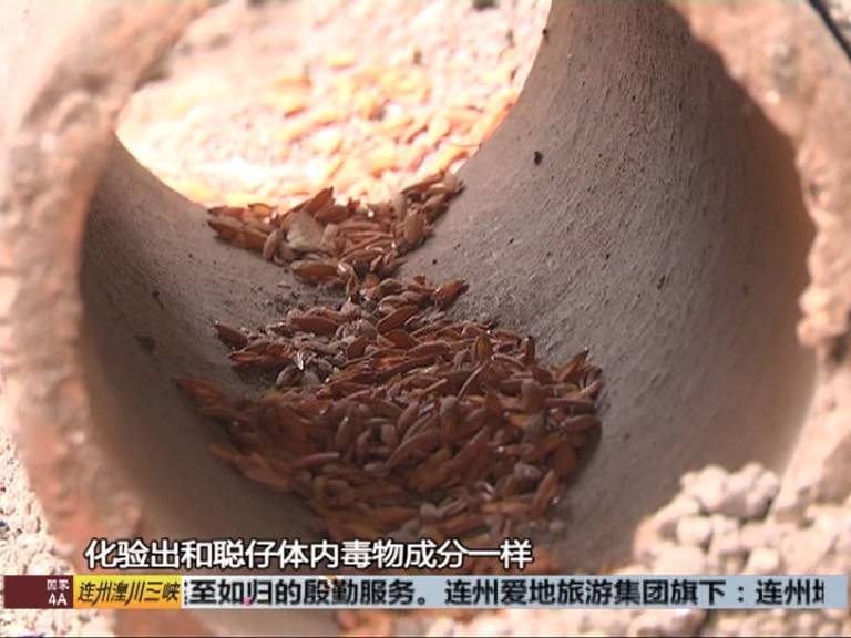 5岁男童小区误食老鼠药险丧命究竟责任在谁