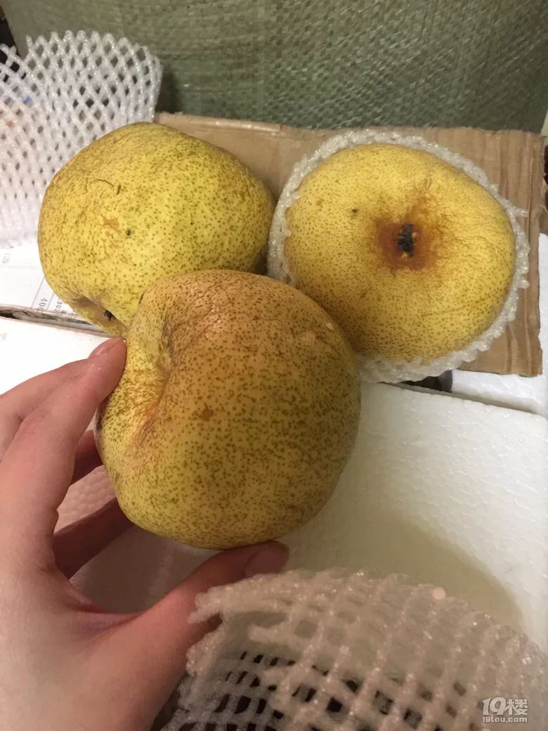 网友曝光朋友圈的爱心助农收到的梨都是烂的这是消