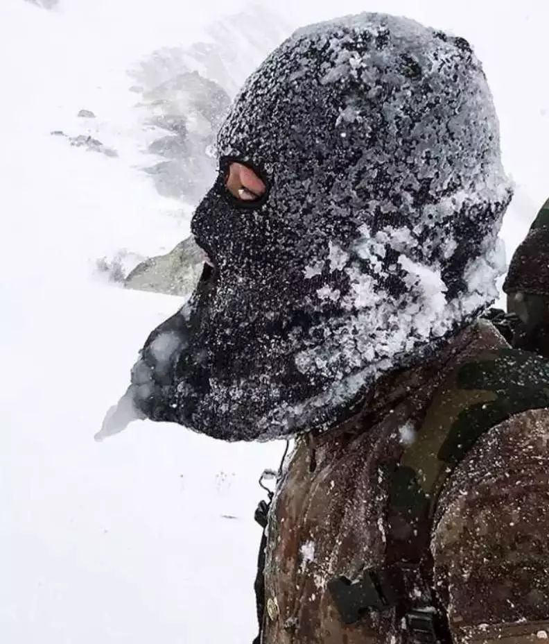 泪目这些刷屏的照片背后都有一抹绿色的身影