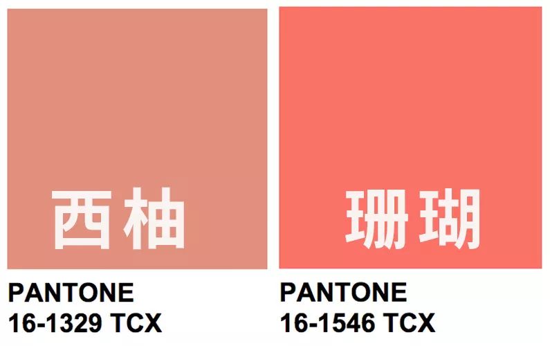 西柚偏粉 珊瑚偏橘从色卡上来看对这两个粉嫩嫩的色号傻傻分不清楚