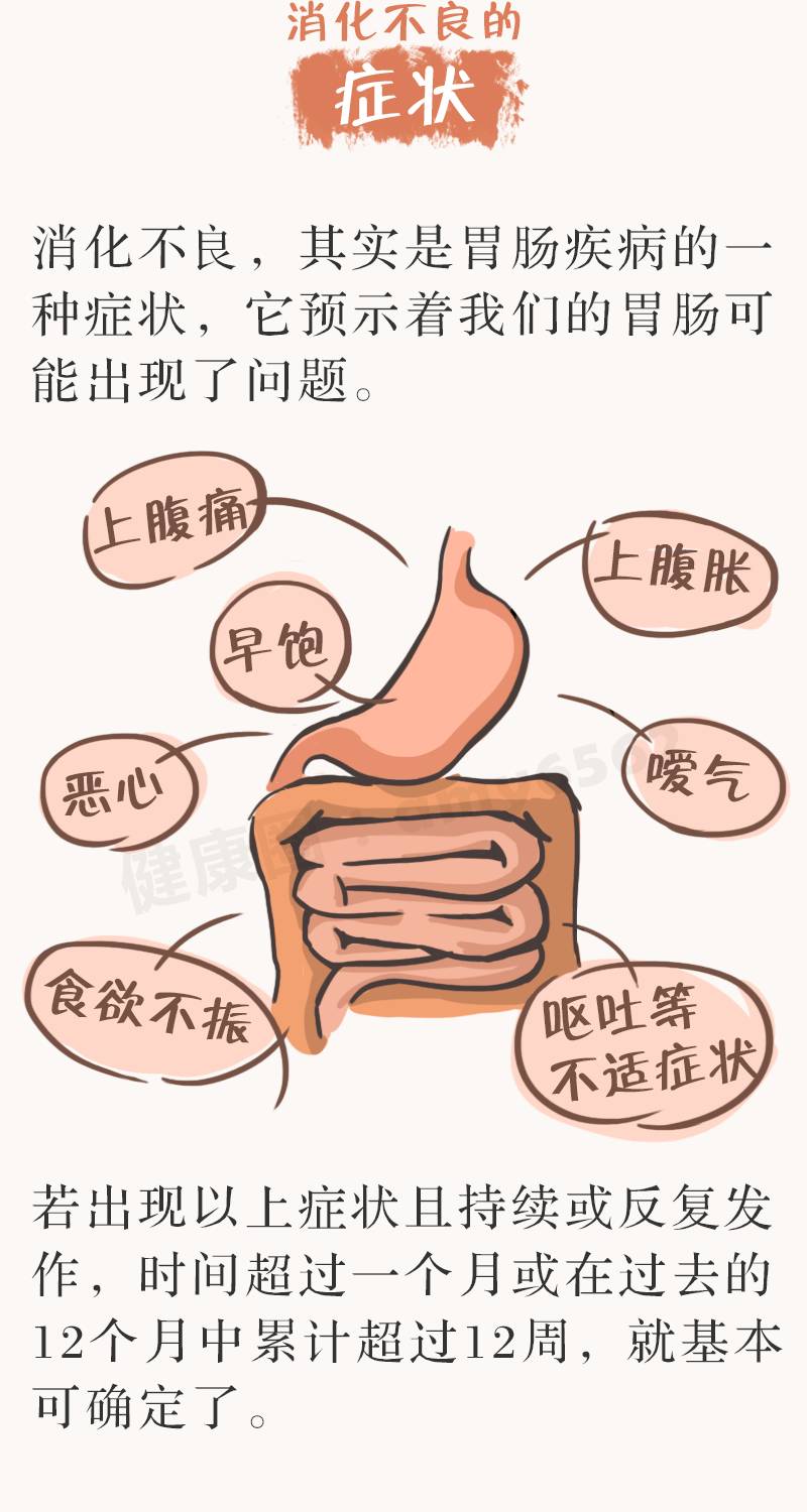 调整饮食是关键,教你2招养肠胃,助消化