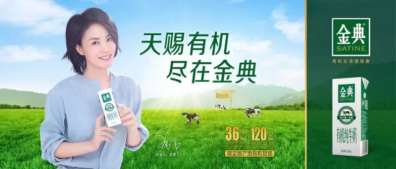 登高莫问顶品质赢未来贺伊利集团液态奶事业部2018年客户大会召开