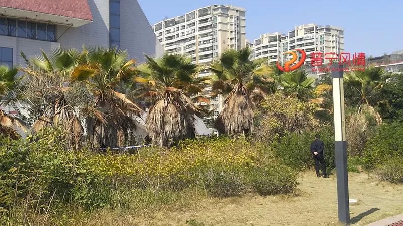 普宁兰花广场草丛里惊现一具男尸