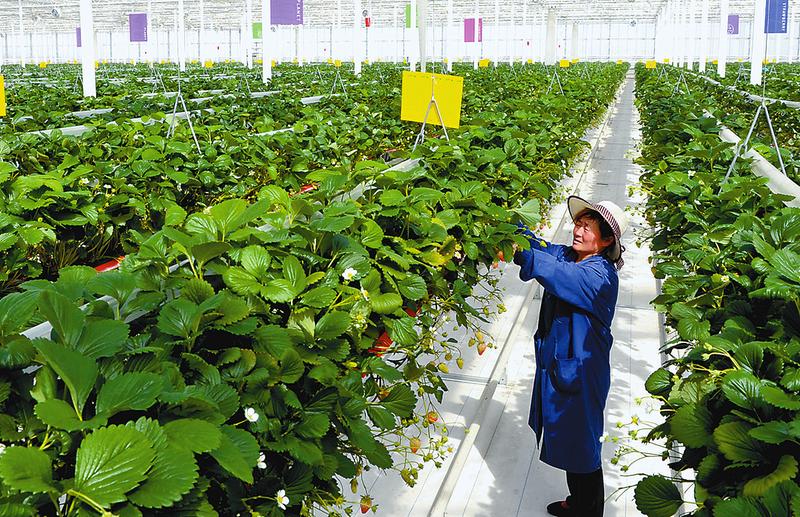 让科技在精准扶贫中彰显魅力 既扶贫又"扶志"