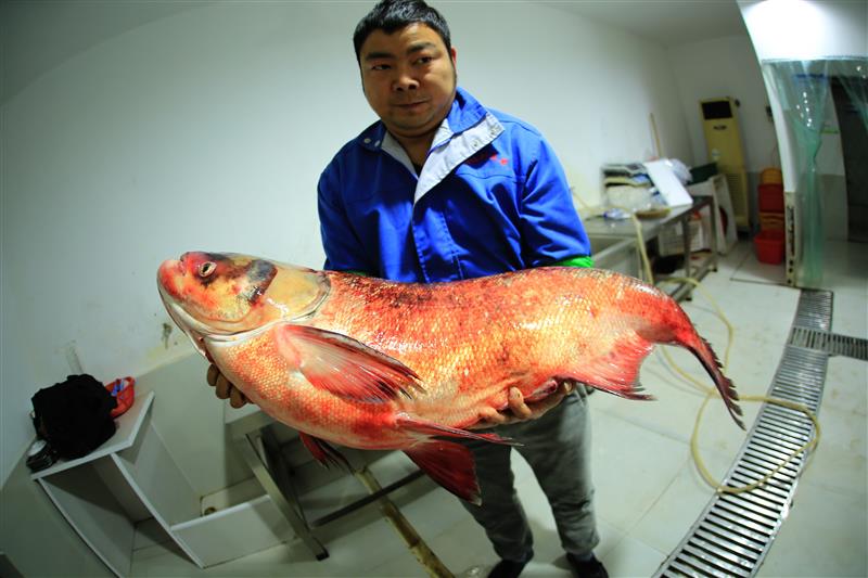 谷歌前工程师创人工智能信仰 遭特斯拉创始人炮轰