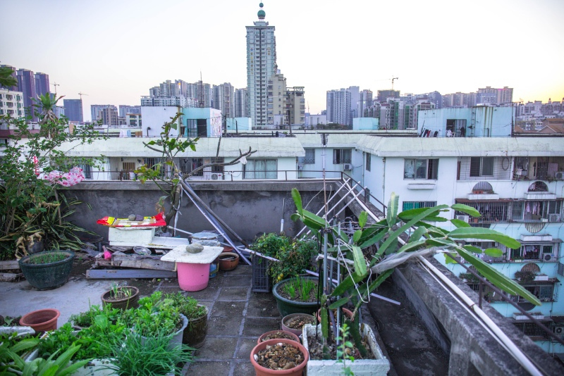 三月的深圳,最美的竟然是旧小区的天台