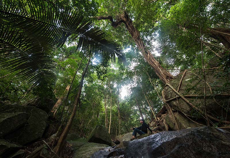 拯救最孤独灵长类的人猿缘