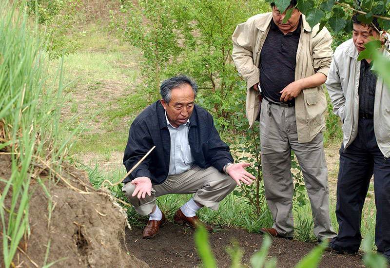 以树为"爹"的植绿人