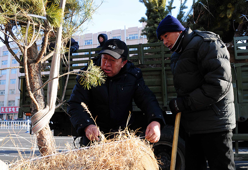 2009年11月30日,在黑龙江省齐齐哈尔市拜泉县,王树清