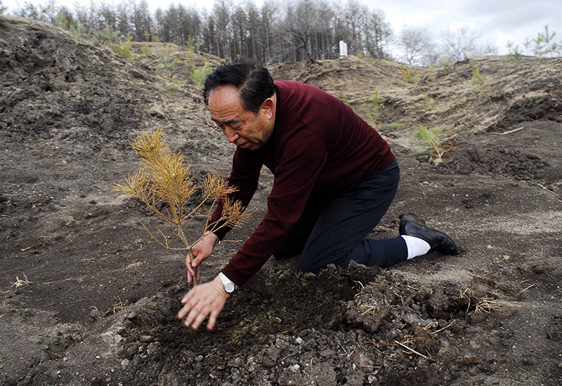 以树为"爹"的植绿人